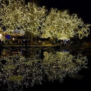 Meet your Posher, Meghan